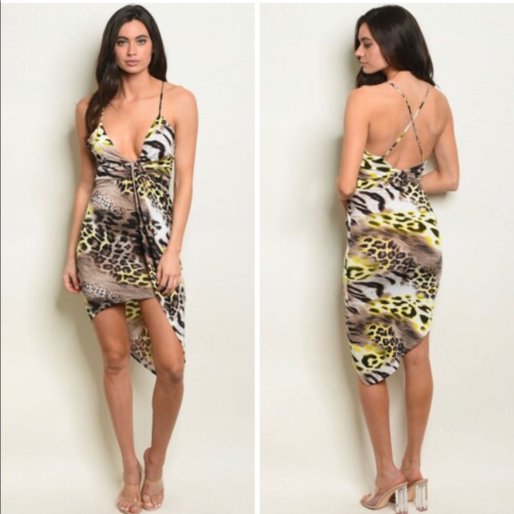 Animal Print Bodycon Dress